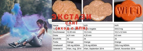 индика Горнозаводск